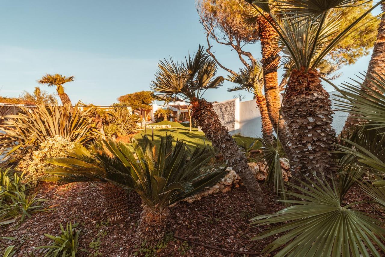 Echi Di Puglia Marsento Bed and Breakfast Polignano a Mare Eksteriør billede